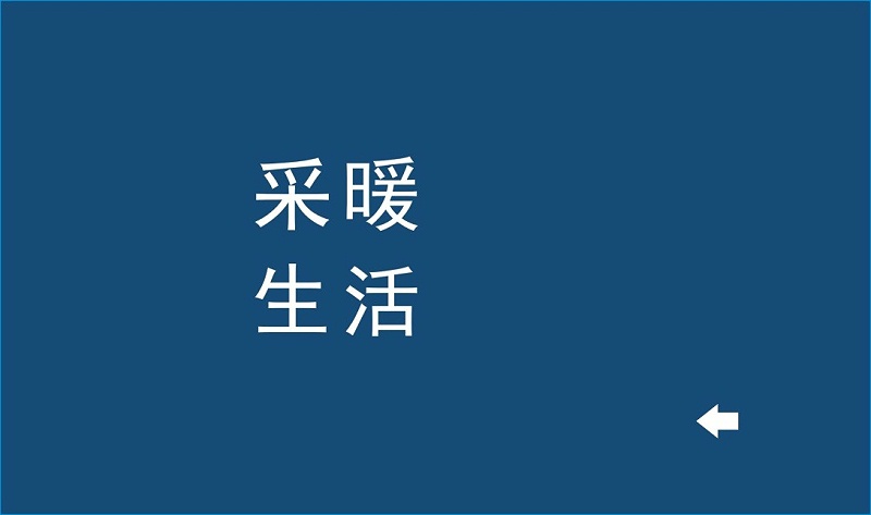 爱普森硅铸铝低氮冷凝锅炉控制器